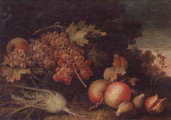 unknow artist Still lifes of Grapes,figs,apples,pears,pomegranates,black currants and fennel,within a landscape setting Norge oil painting art